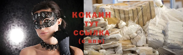 мяу мяу мука Белокуриха