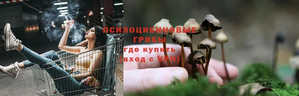 Альфа ПВП Осинники