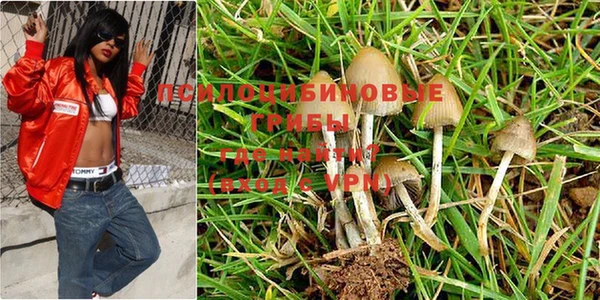 мяу мяу мука Белокуриха