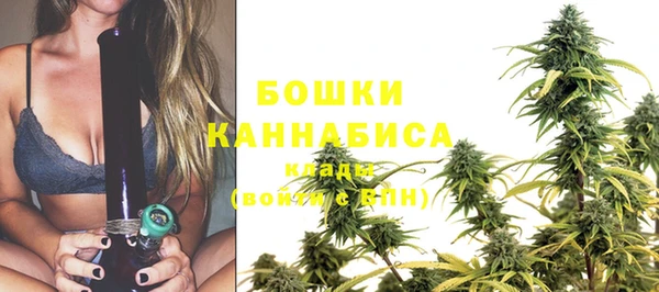 мяу мяу мука Белокуриха