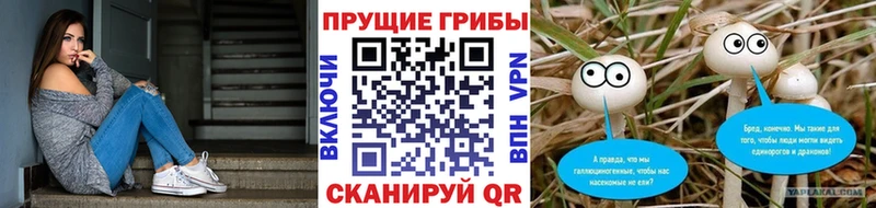 Галлюциногенные грибы Psilocybe даркнет сайт Челябинск