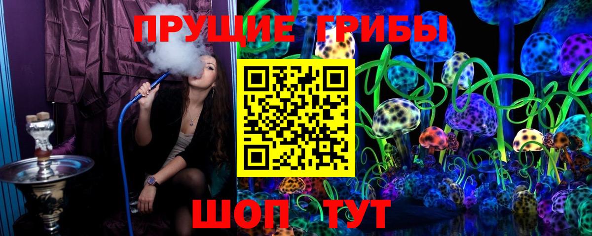 Псилоцибиновые грибы Magic Shrooms  Россия 