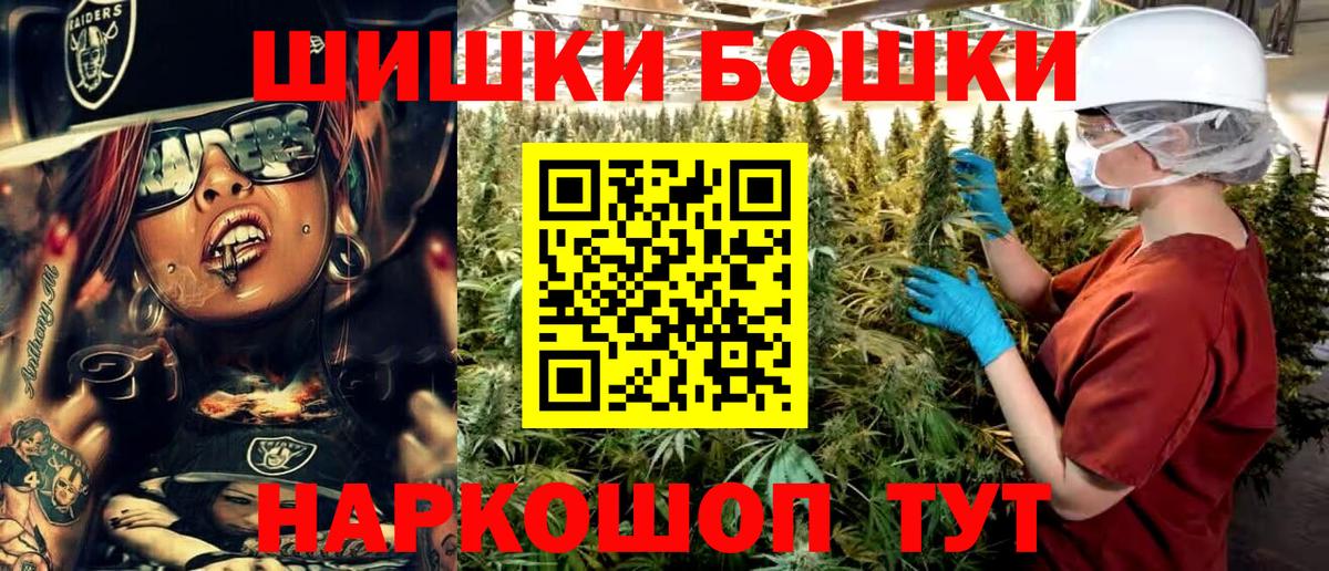 Каннабис SATIVA & INDICA Россия